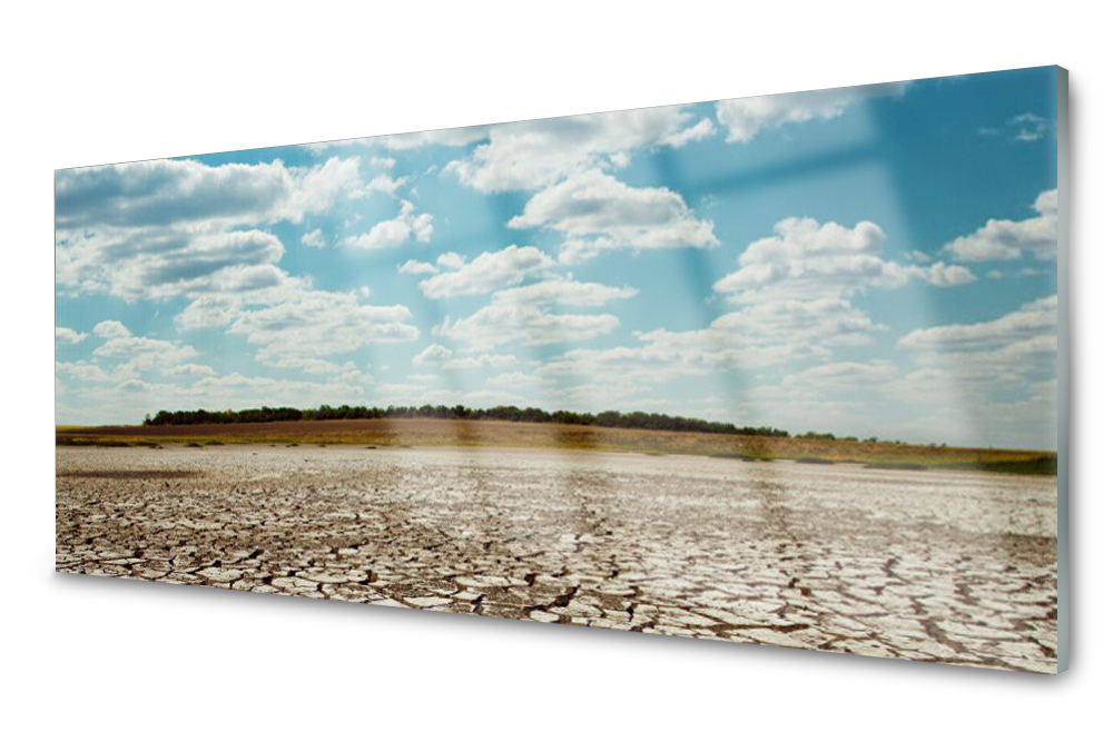 

Panel szklany do kuchni Pustynia 125x50