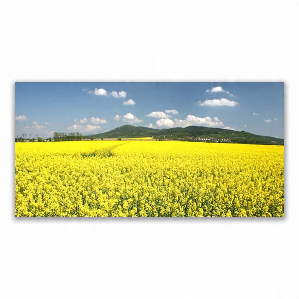 

Obraz akryl wiszący 120x60 Pole Łąka Natura Rzepak