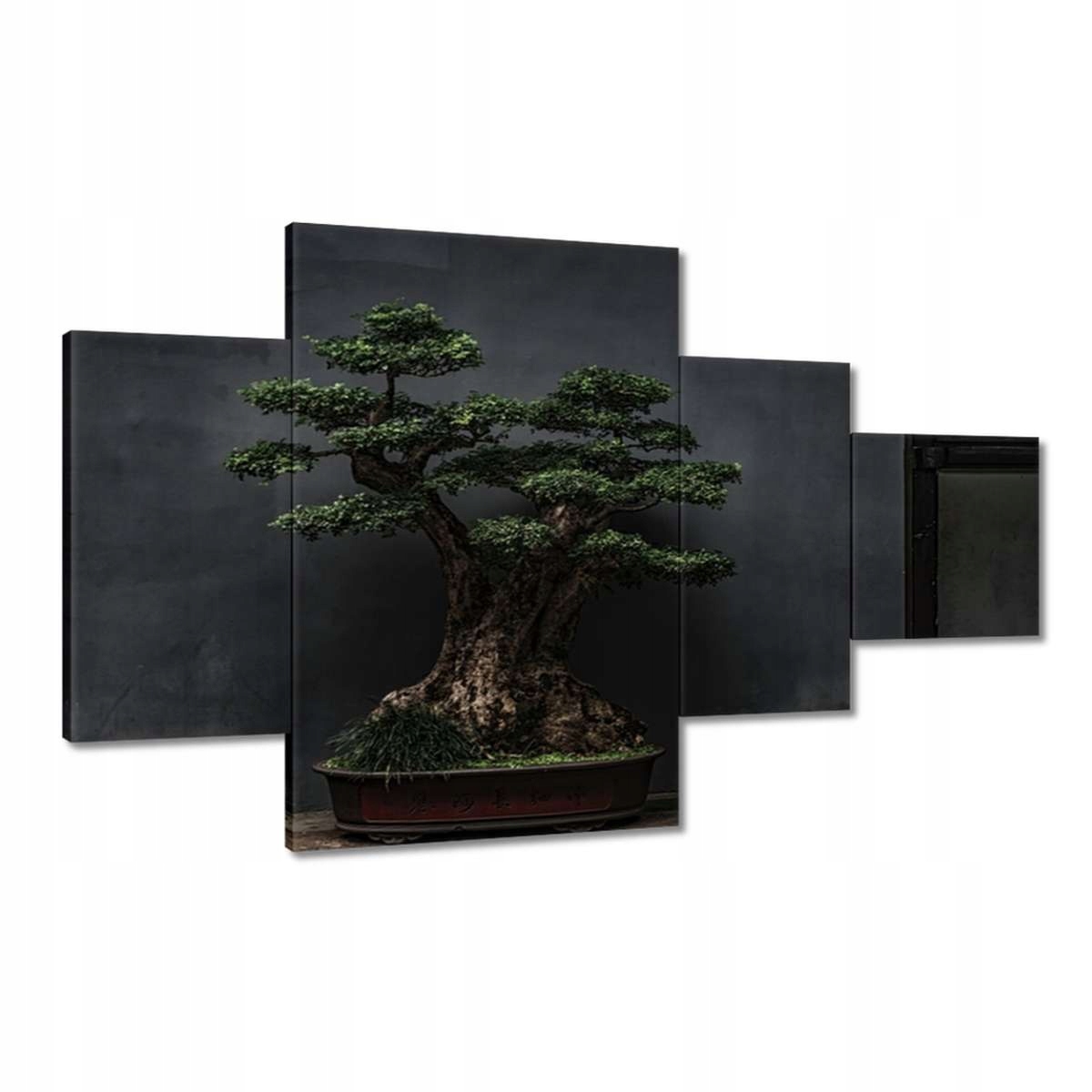 Obrazy 130x80 Bonsai Stromek Kultura