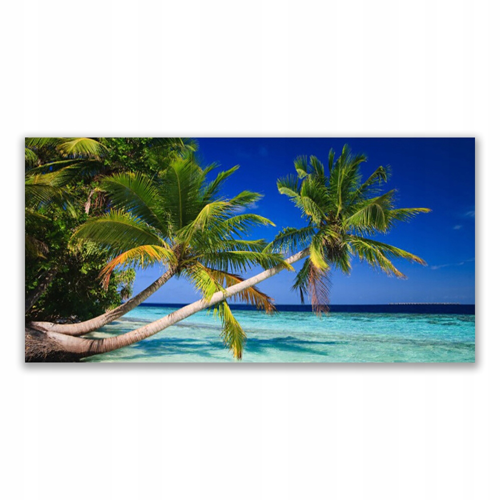 

Obraz akrylowy 120x60 Palma Drzewo Morze Krajobraz