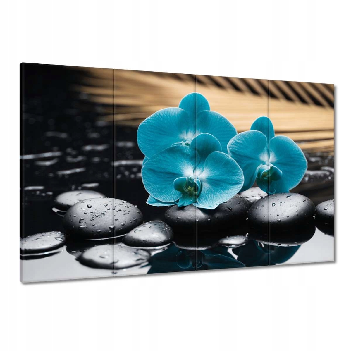 Obrazy 120x80 Tyrkysový orchidej Květina