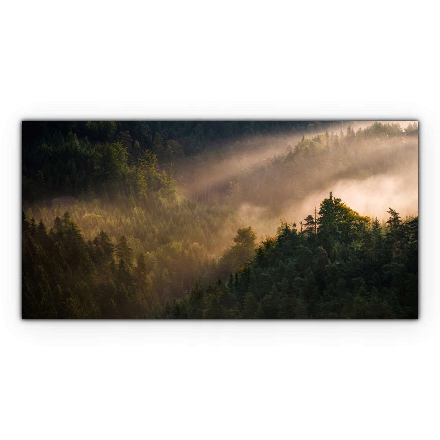 

Canvas płótno do sypialni 120x60 Las Zachód Słońca