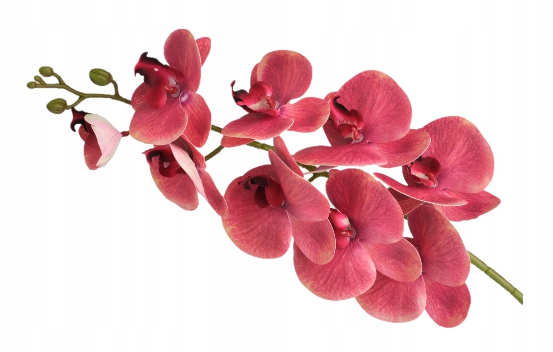 

Storczyk Sztuczny Silikonowy Duży Gałązka Jak Żywy