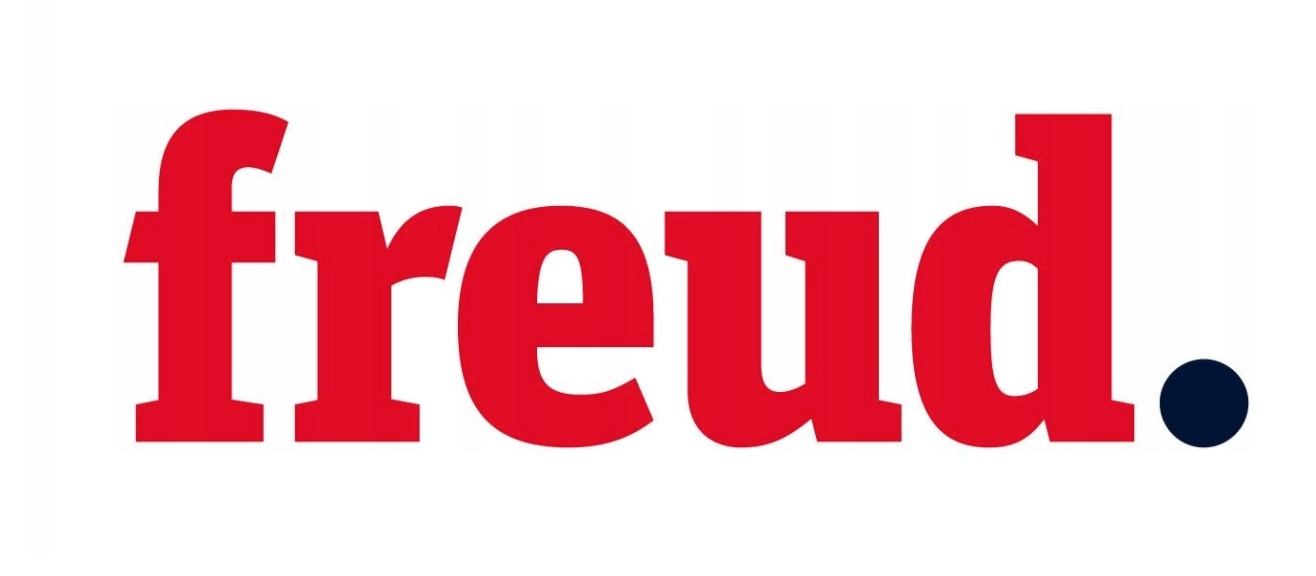 FREUD PIŁA DO PŁYTY WIÓROWEJ 300x30x96Z/ WYCISZANA Seria LU3D0600