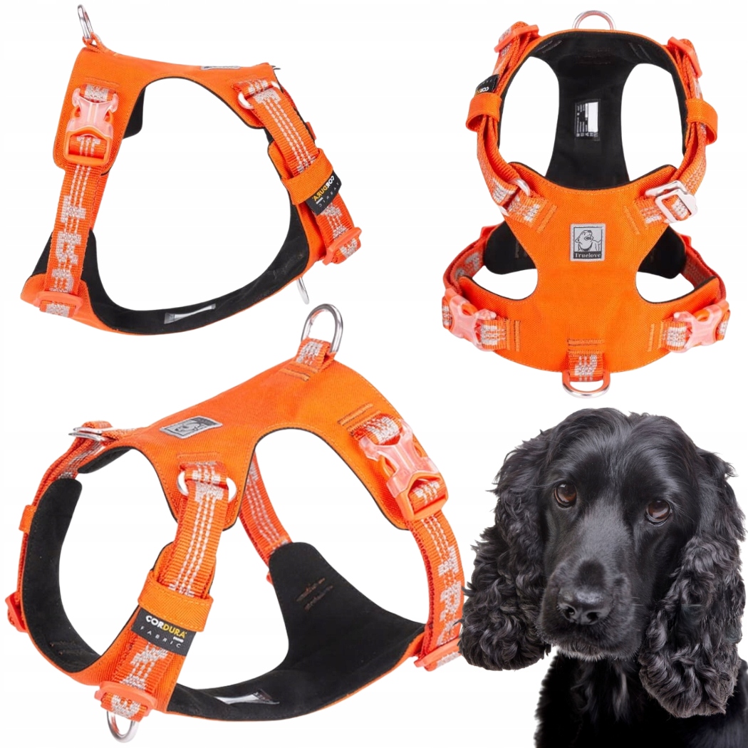Obojky Pro Psa Voděodolné, Lehké Truelove Adventure Dog Oranžové M