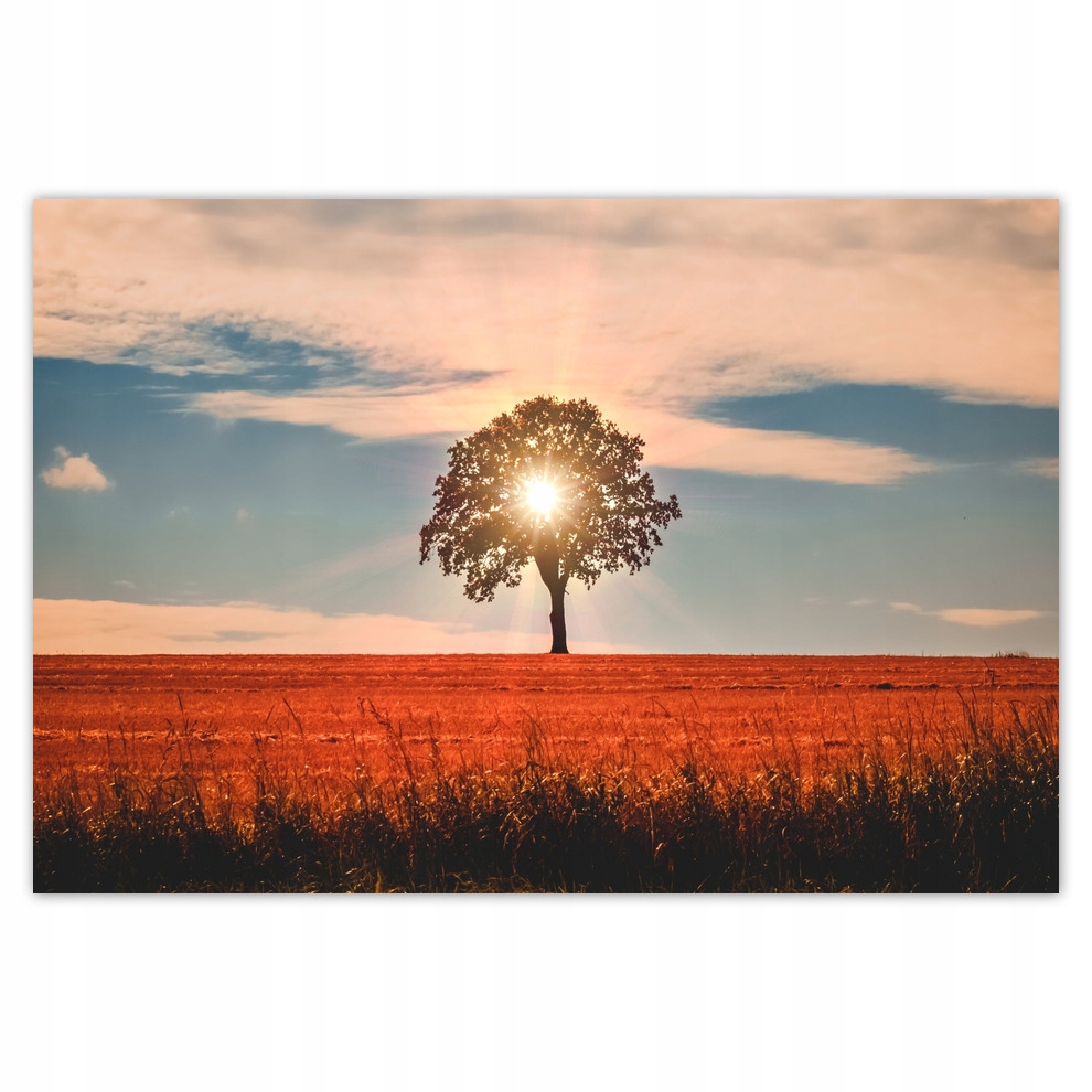 

Plakaty 200x135 Samotne drzewo