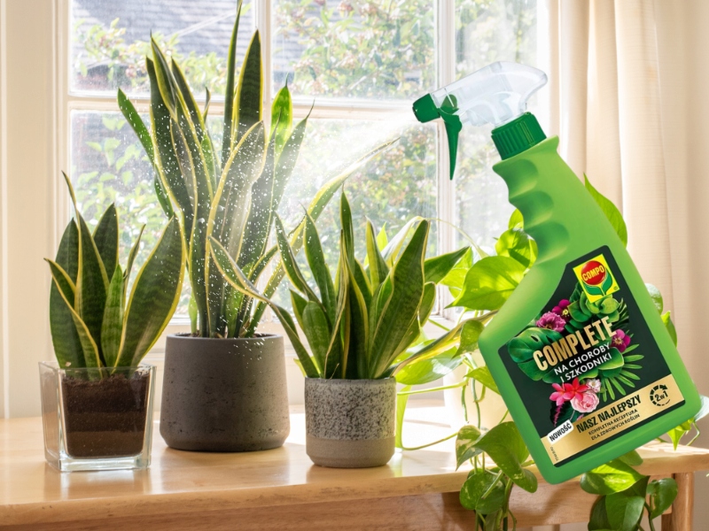 COMPO COMPLETE 2w1 NA CHOROBY I SZKODNIKI MSZYCE PRZĘDZIORKI WEŁNOWCE PLEŚŃ Forma płyn