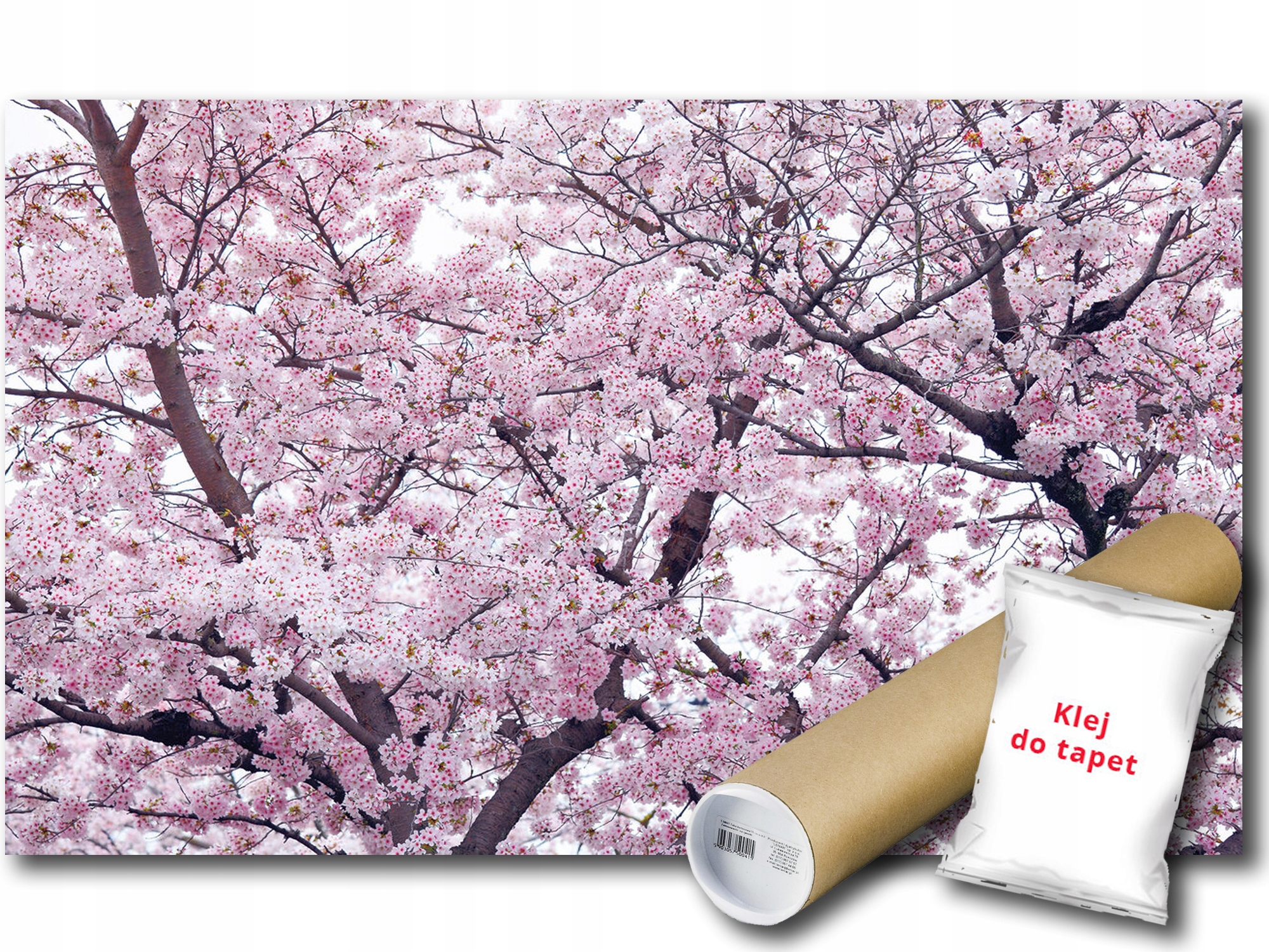 Vinylová Fototapeta Strom Jabloně Květy Větve Jaro Příroda 152x104