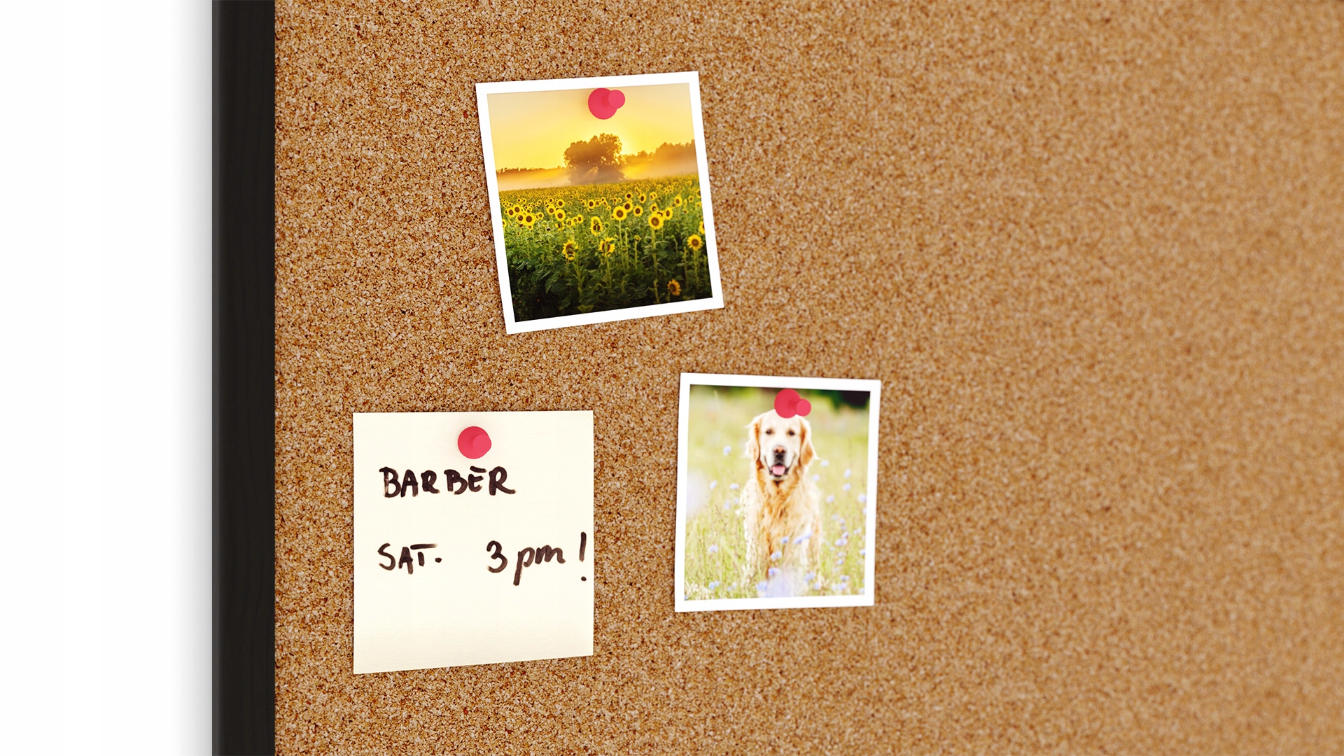 Tablica korkowa 100x40 cm rama drewniana lakierowana CZARNA + GRATIS Szerokość produktu 100 cm