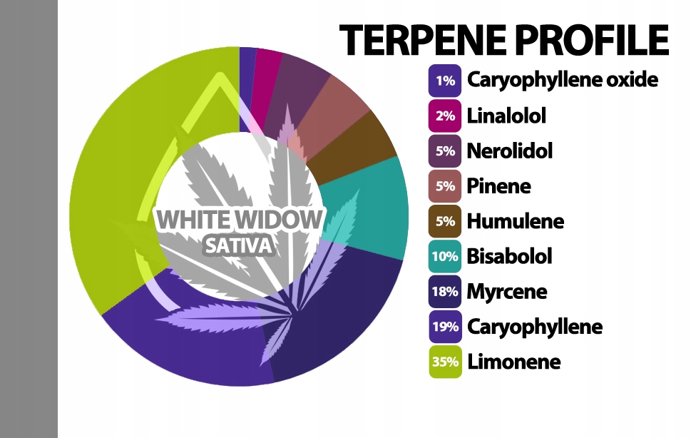 Naturalne terpeny konopne | PROFIL TERPENOWY - WHITE WIDOW | 1ml EAN (GTIN) 5906138981004