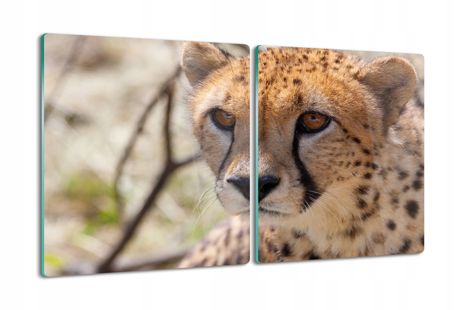 jako dárek deska 2x40x52 ze skla Gepard strom