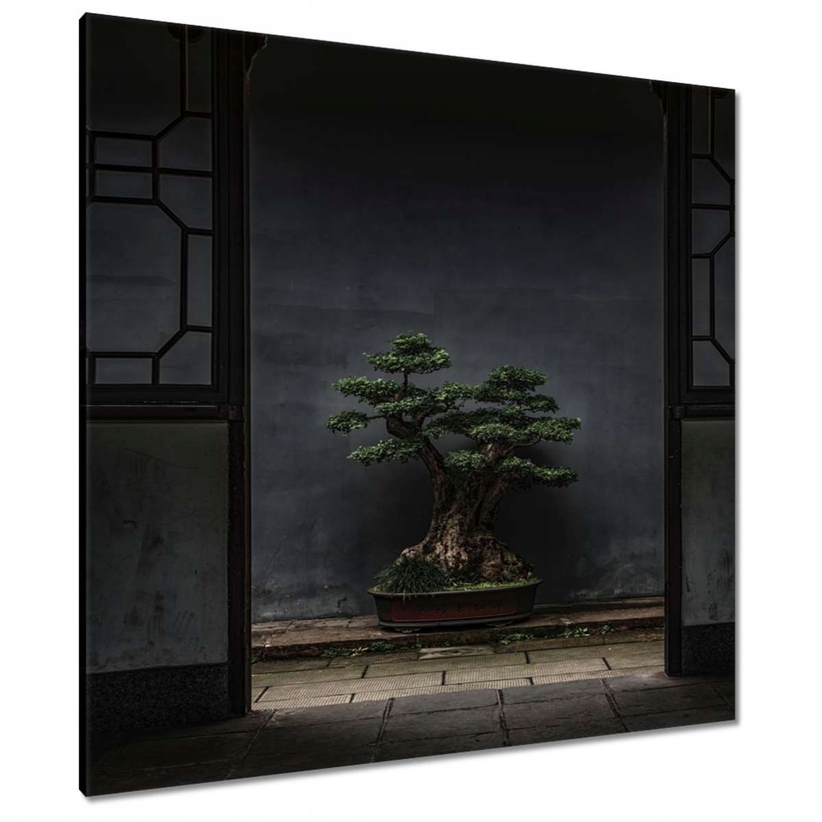 Obrazy 90x90 Bonsai Strom Kultura