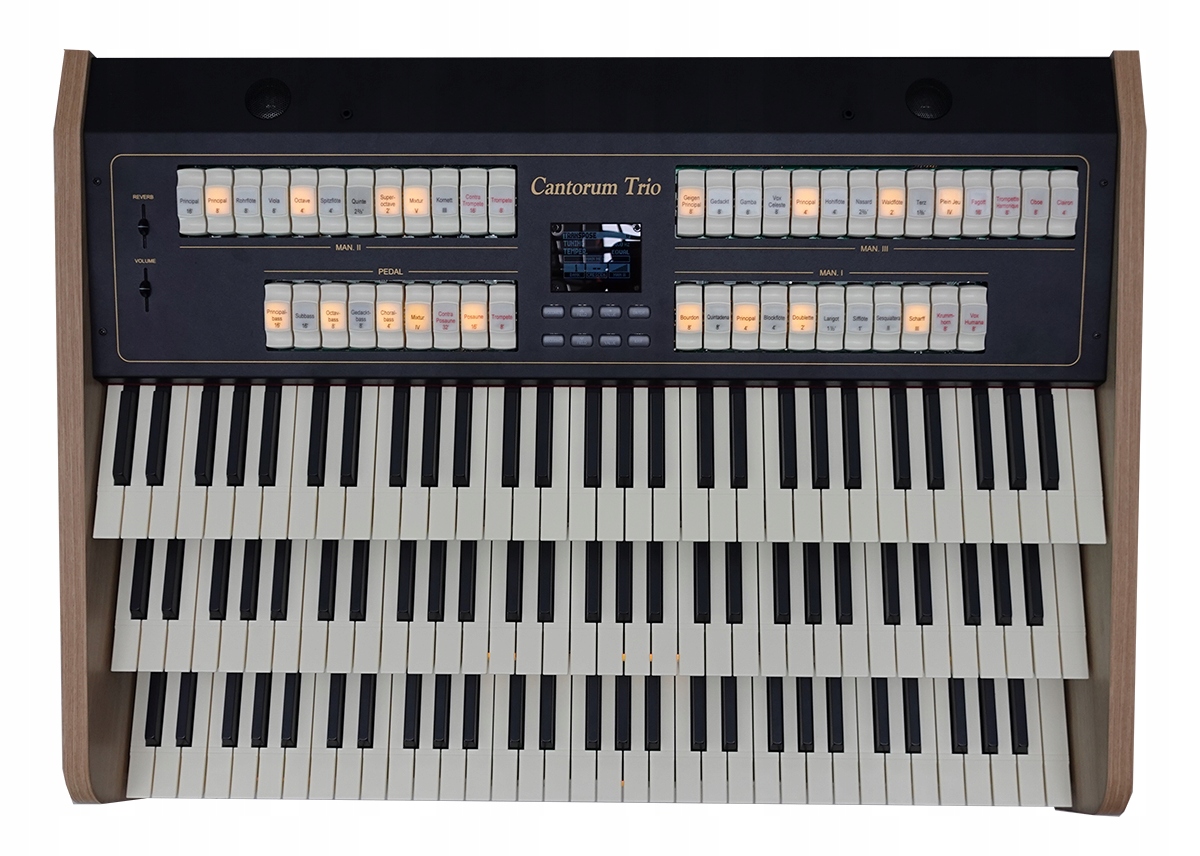 Viscount Cantorum TRIO ORGANY 3 manuały | w 24h