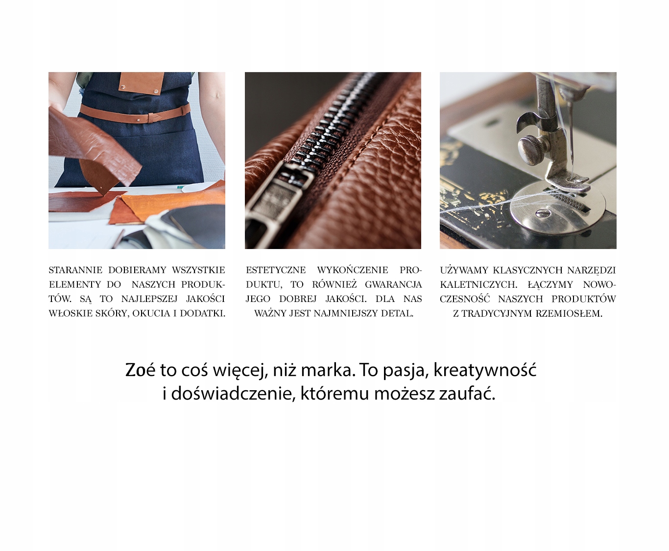 ZOE TORBA MĘSKA TECZKA AKTOWKA NA DOKUMENTY Wzór dominujący bez wzoru