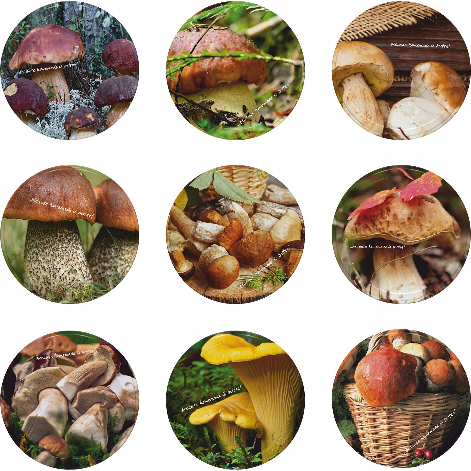 

Zakrętki do słoików 10szt Grzyby fi66 zakrętka