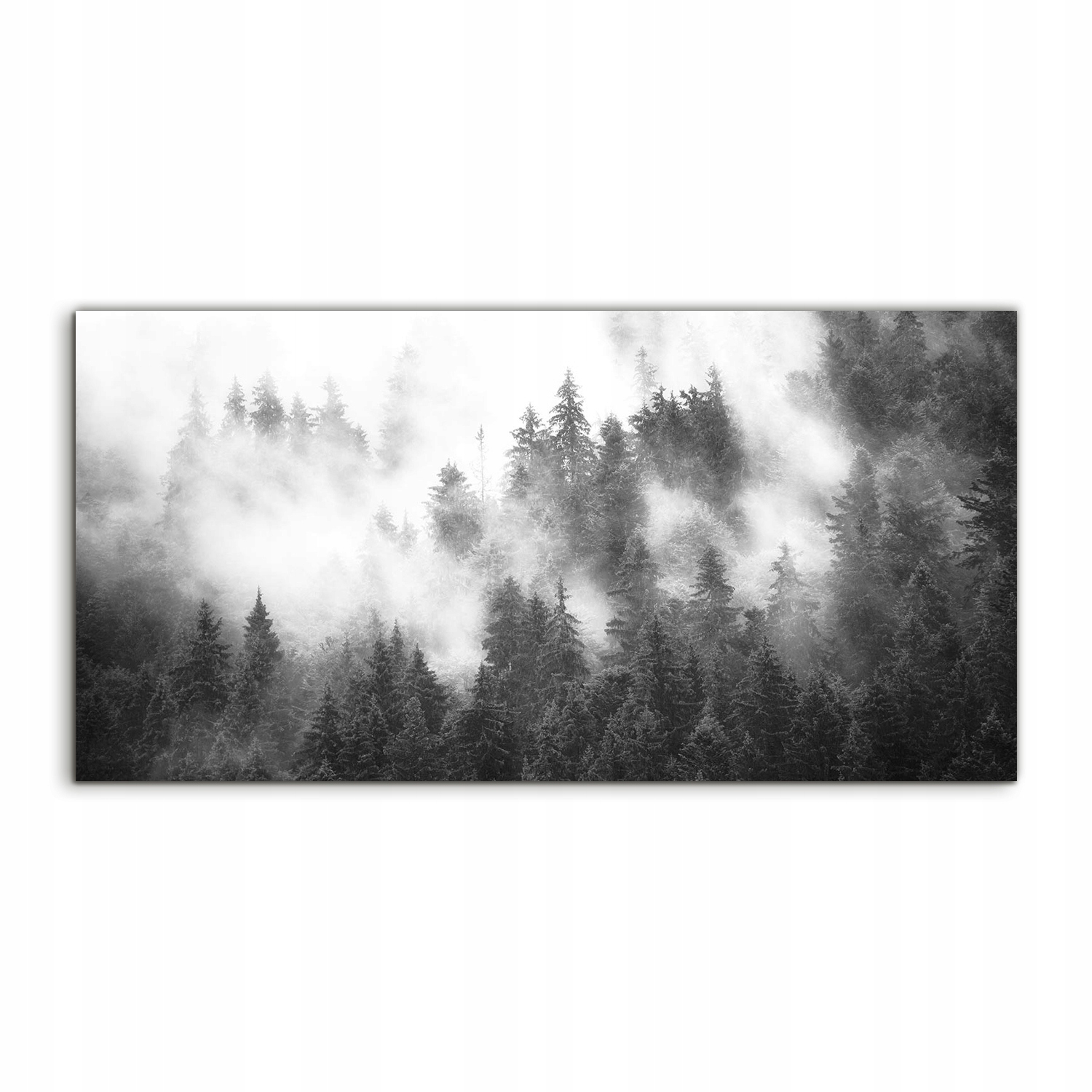 

Obraz akrylowy 100x50 ścienny Krajobraz Mgła Las