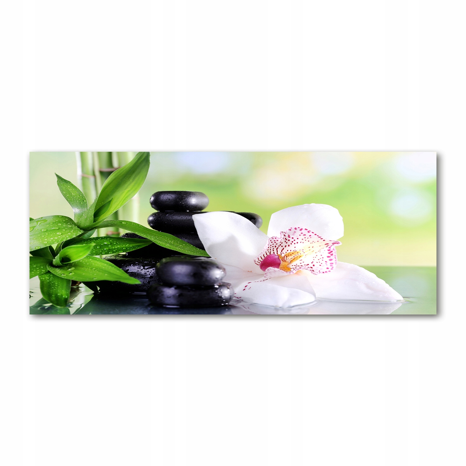 

Foto obraz duży akryl nowoczesny Orchidea 125x50cm
