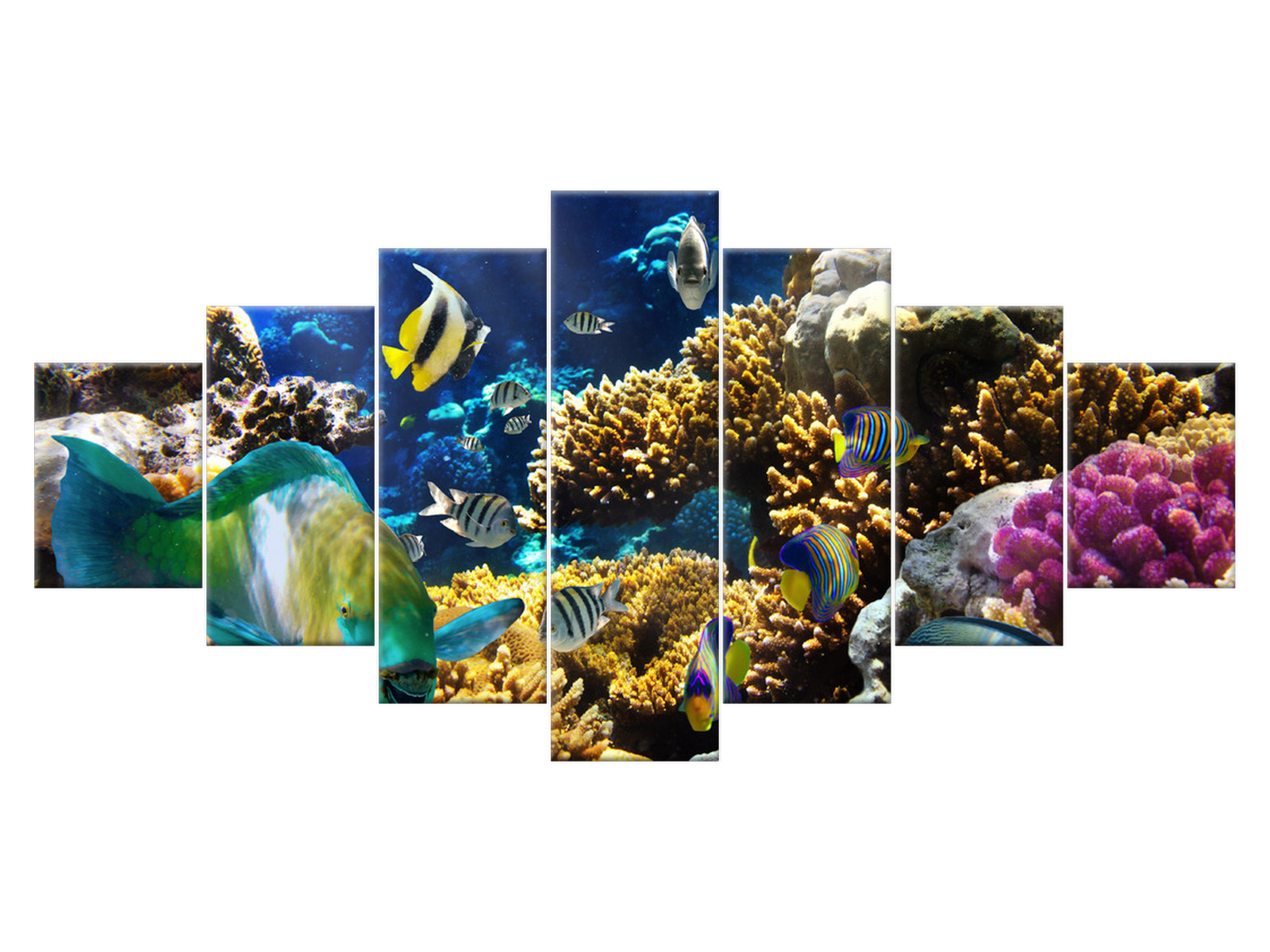 

Obraz Rafa koralowa 210x100 Ogień Woda 1347A_7A