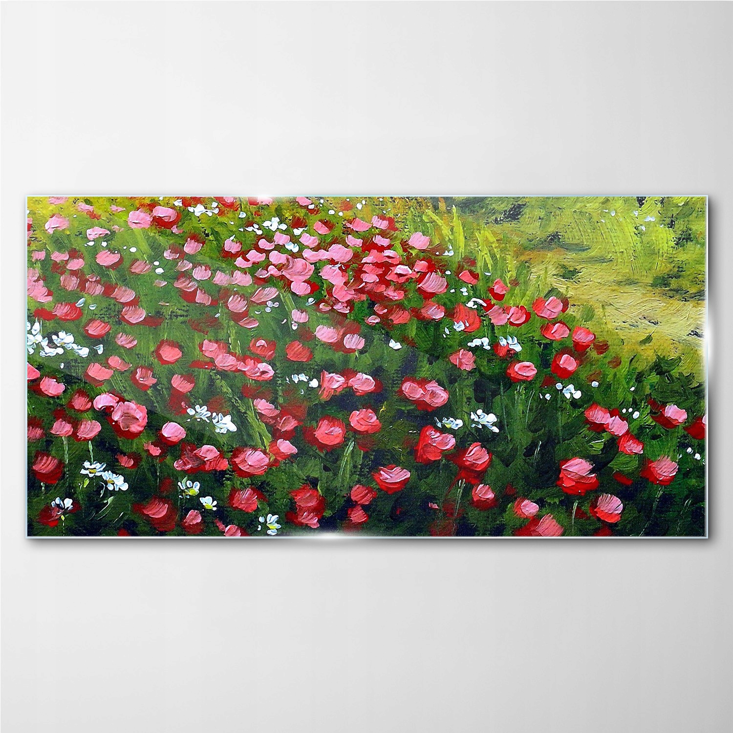 

Foto-obraz szklany Kwiaty pole przyroda 100x50 cm