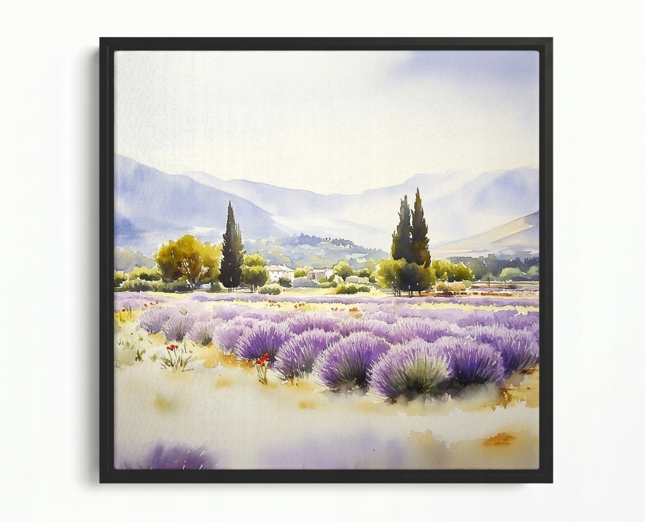 Obraz Rám Americký Box Krajina Francie Provence Hory Pole Květiny 60x60