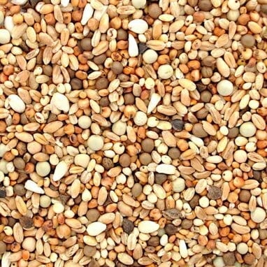 Karma Rasowe R'b', Bez Kukurydzy Elpol 25kg