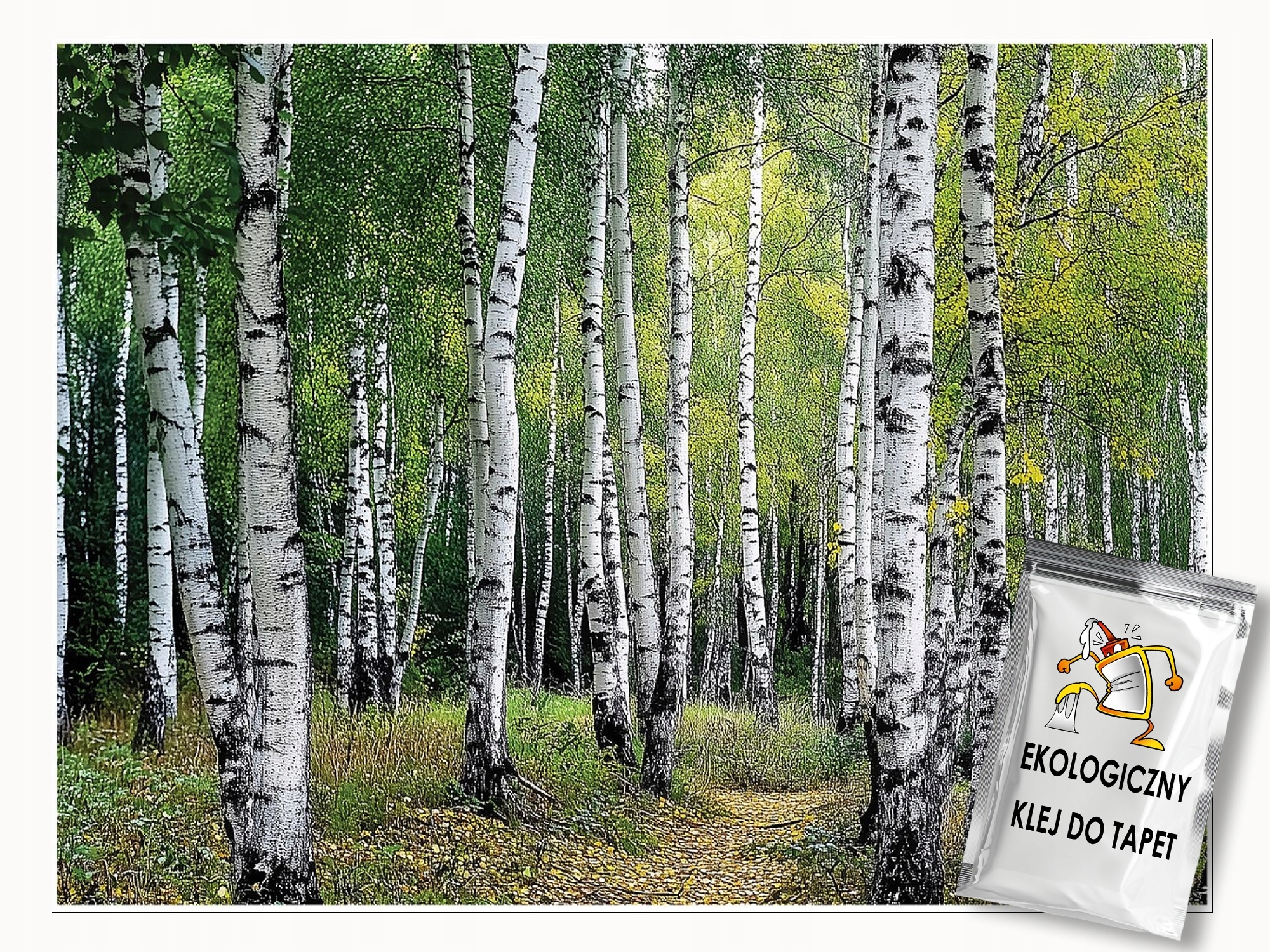 Fototapeta 3D Březový Les Dřeva Ložnice Obývací Pokoj Tapeta Flizelina 200x140