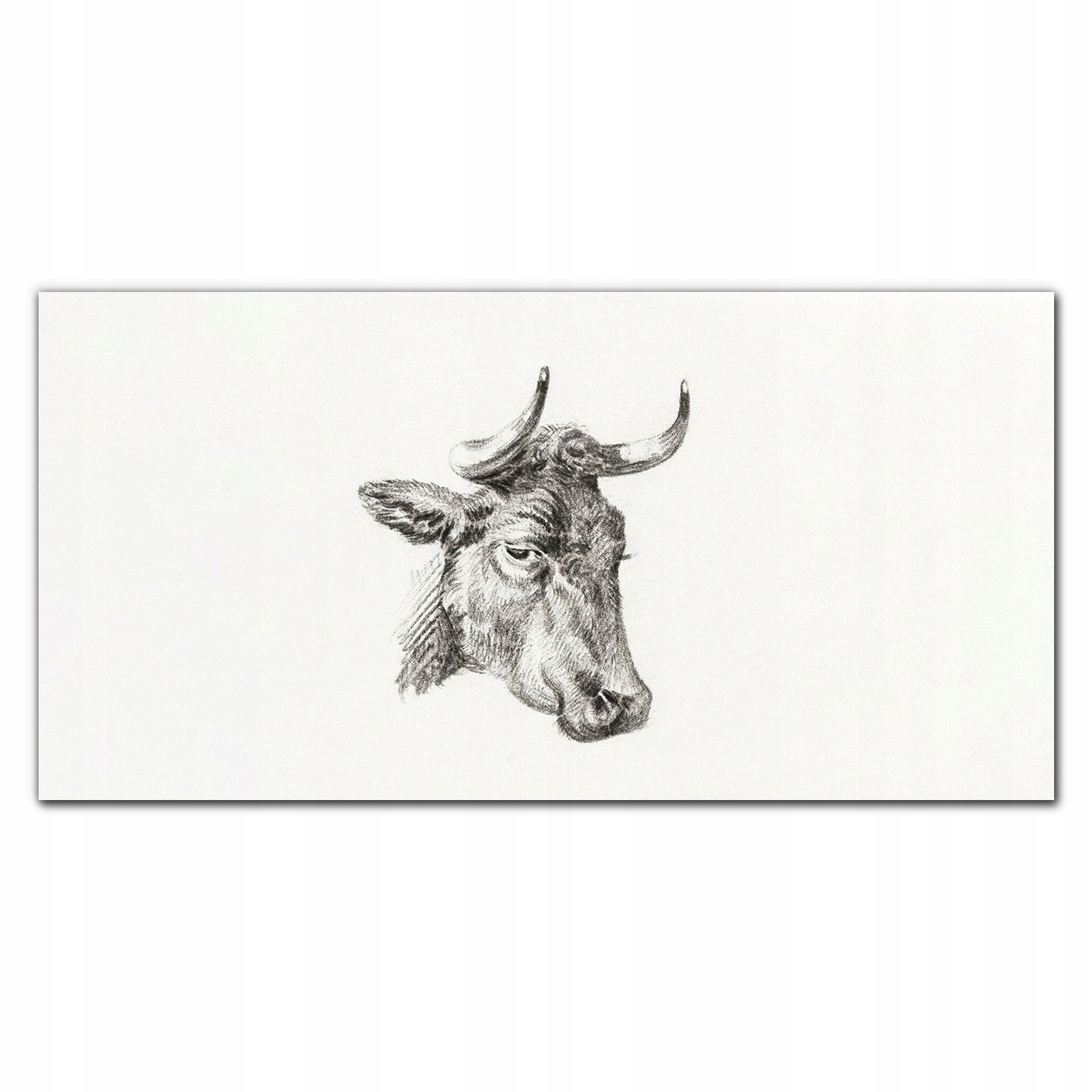 Fotoobraz na ráme plátno Zviera krava 140x70 cm