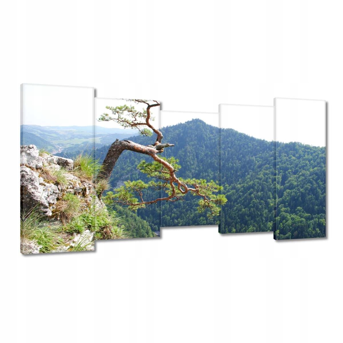 Obrazy 150x80 Osamělý strom
