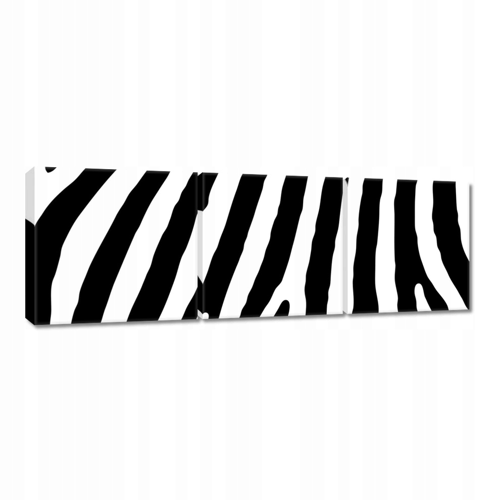 

Obraz 60x20 Zebra Paski