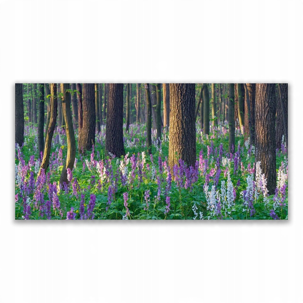 

Obraz z grafiką na ścianę 140x70 Las Drzewa Natura