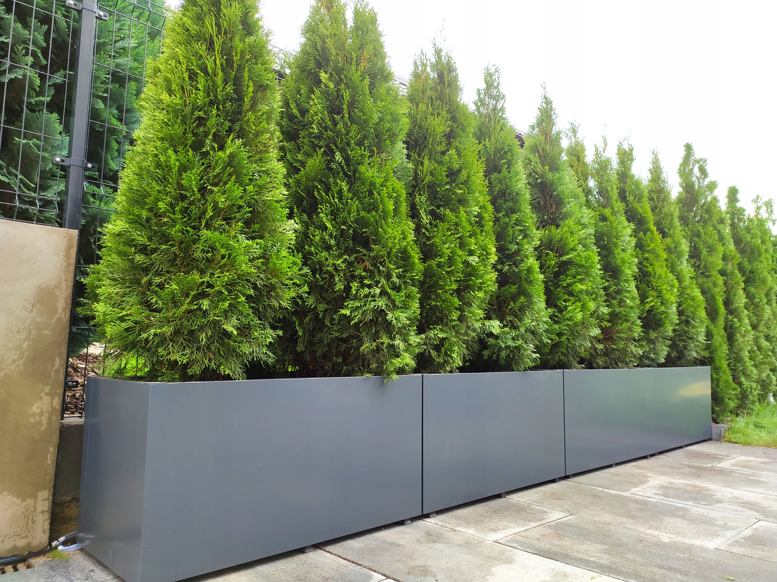 DONICZKA PROSTOKĄTNA, ALUMINIOWA NA WYMIAR 110 cm Waga produktu z opakowaniem jednostkowym 5 kg