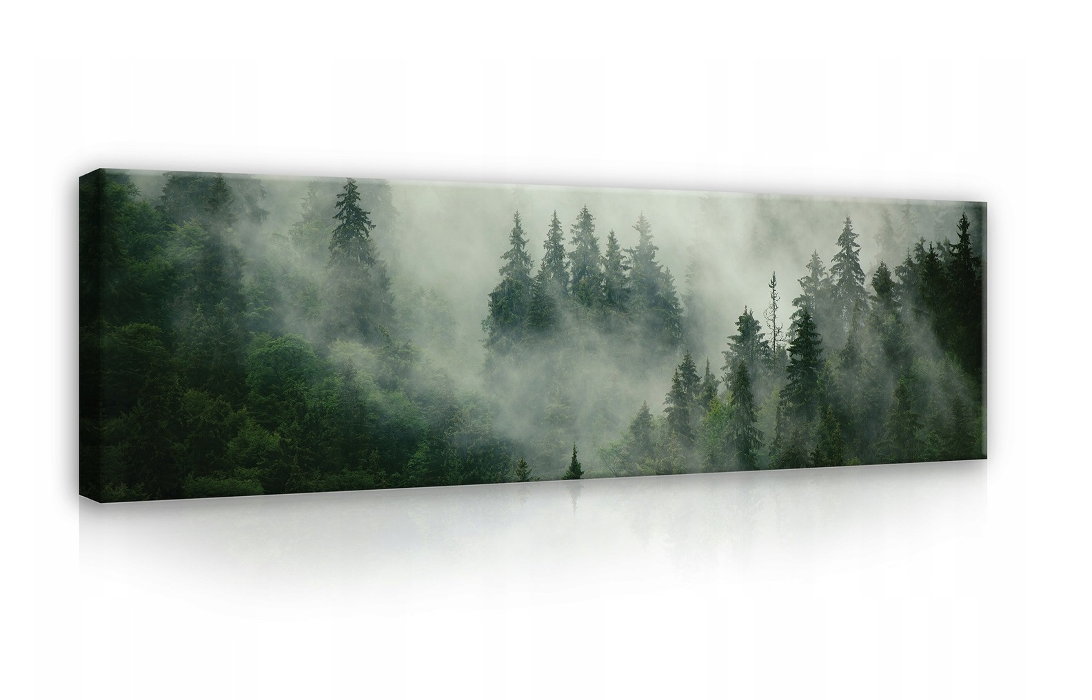 

Obraz na płótnie Las We Mgle Duży Salon 145x45