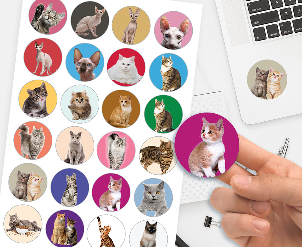 ZESTAW NAKLEJKI + TATUAŻE DLA DZIECI DZIECIĘCE KOTY KOTKI JAKOŚĆ Stan opakowania oryginalne