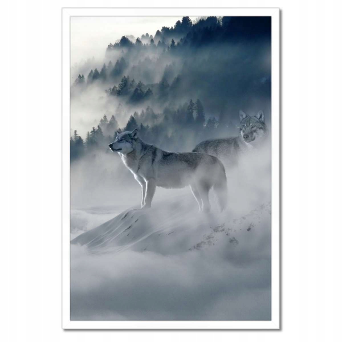 Plakáty v rámu 40x60 Vlci v přírodě