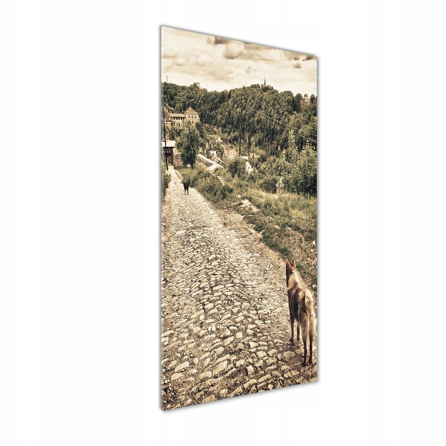 

Foto obraz na szkle pionowy Dwa psy wzgórza 50x125
