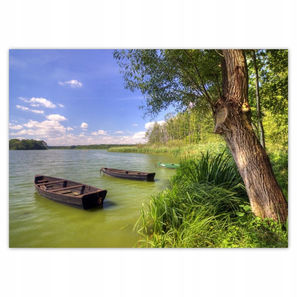 

Naklejki 70x50 Spacer Wolsztyński park