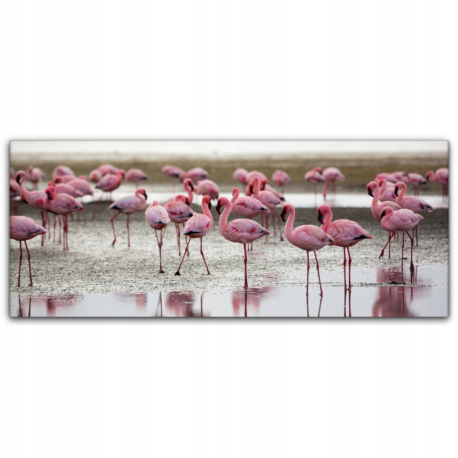 

Canvas do sypialni 125x50 Flamingi Ptak Zwierzęta