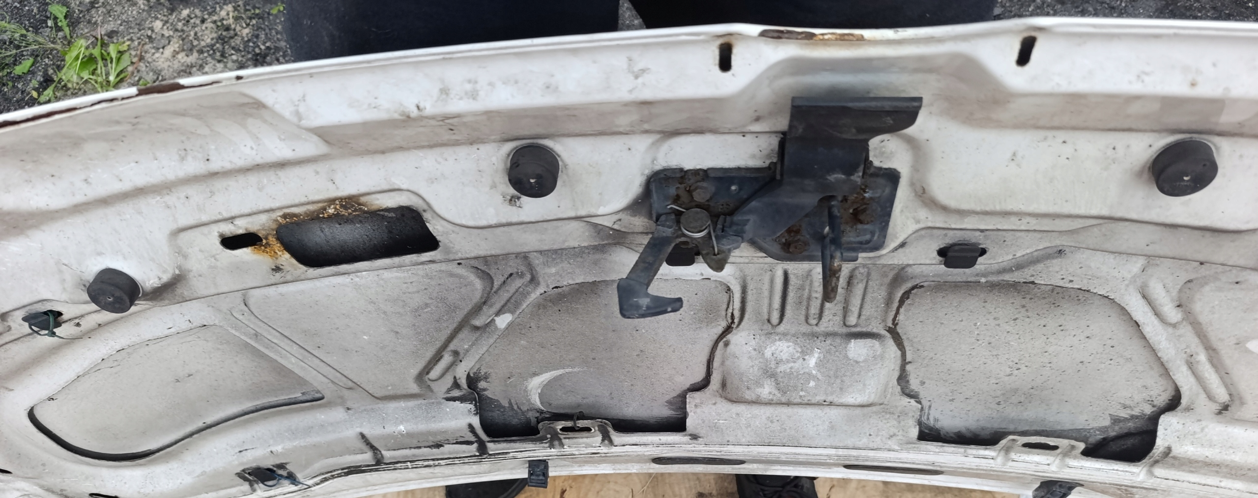 VW T5 bonnet biala