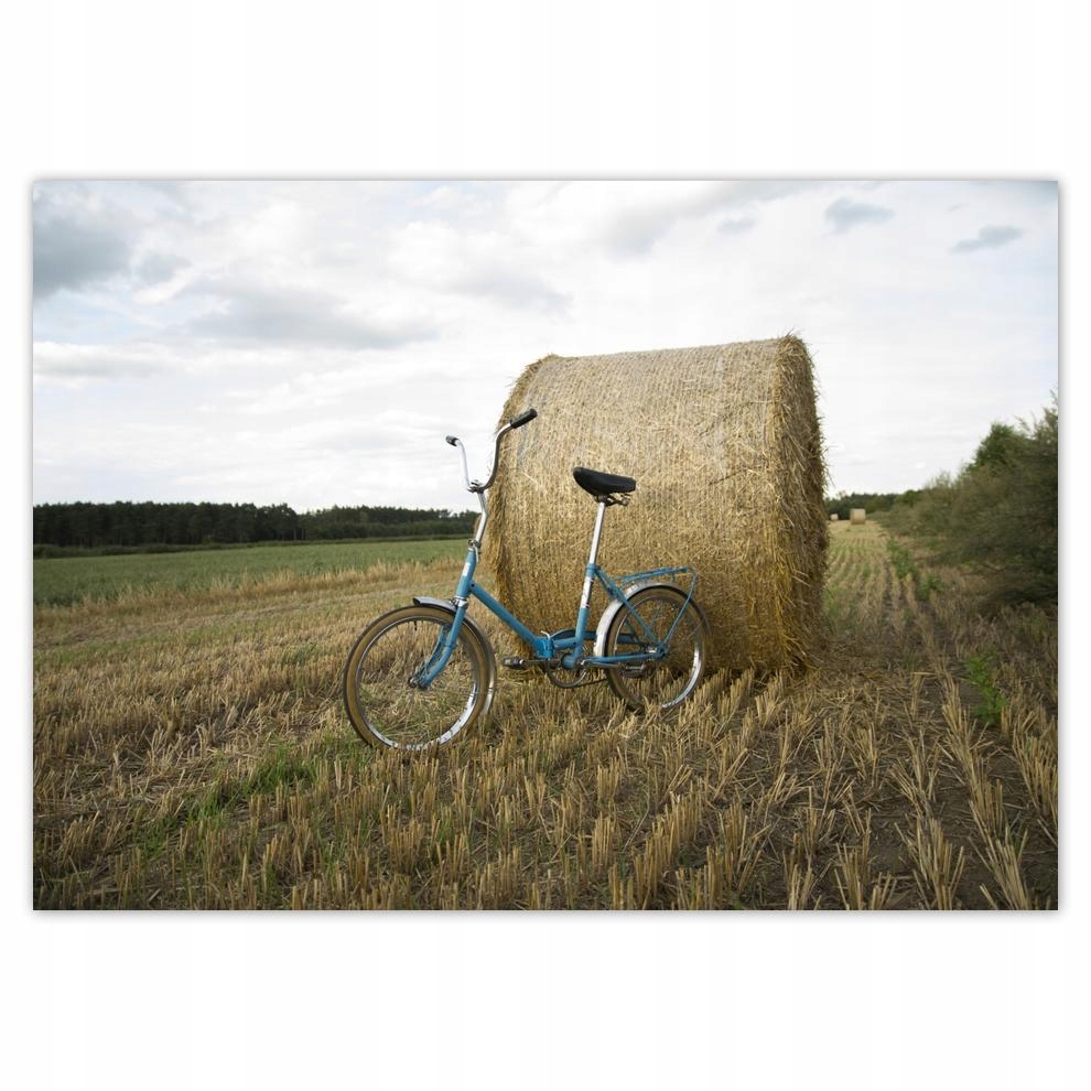 

Naklejki 70x50 Wigry 3 Prl Rower Romet