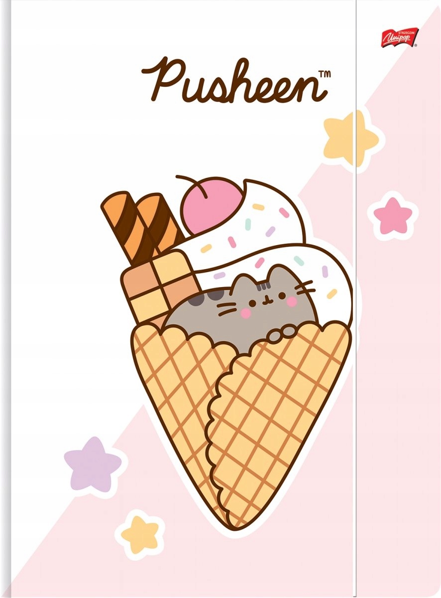 TECZKA Z GUMKĄ A4 PUSHEEN KOTEK
