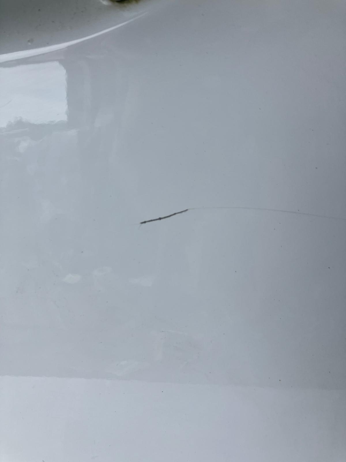 door left rear part FORD B MAX DC