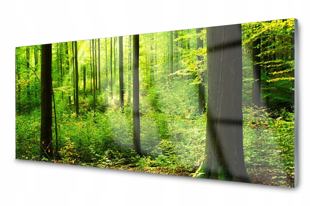 

Panel szklany do kuchni Las Zieleń Drzewa 125x50
