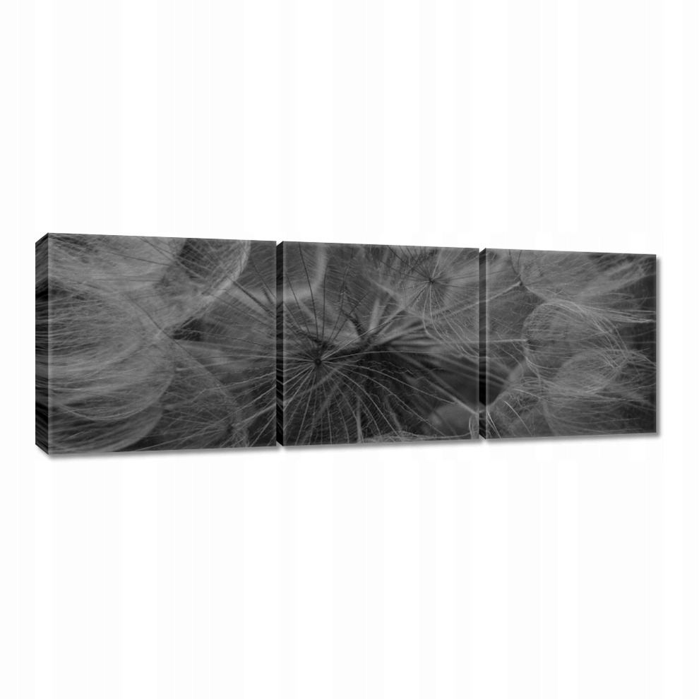

Obrazy 60x20 Dmuchawiec Kwiat Kwiatki