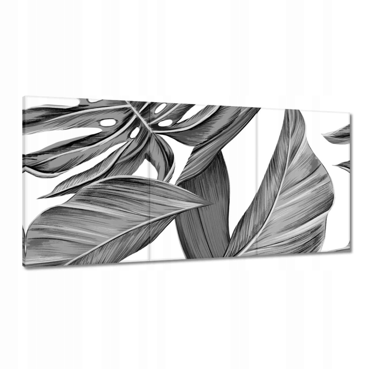 Obrazy 180x90 Monstera v šedej farbe
