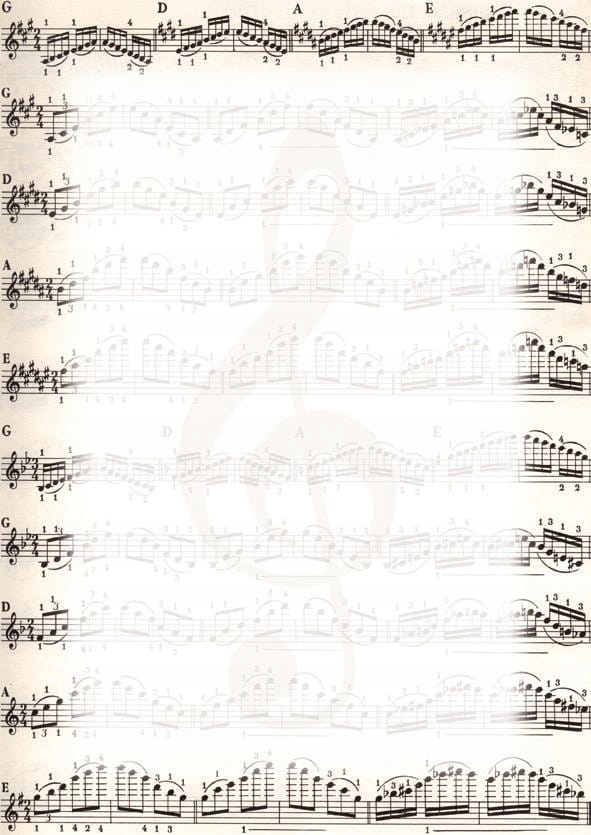 

Dyplom Nuty 170g/m2 (25 szt)