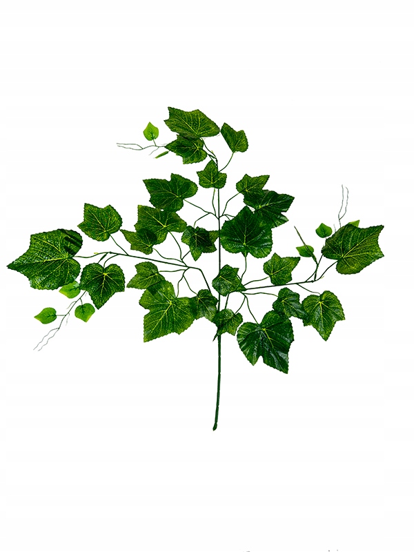 

Liść winogronu FYPT12 (65cm)