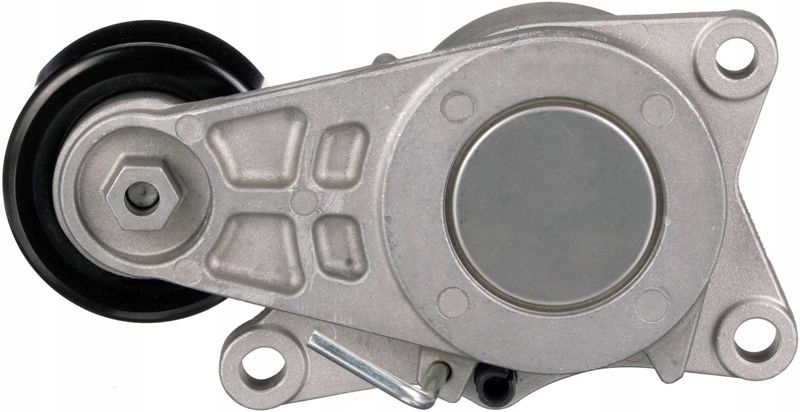 NAPINACZ PASKA KLINOWEGO WIELOROWKOWEGO T38782 Producent części Gates