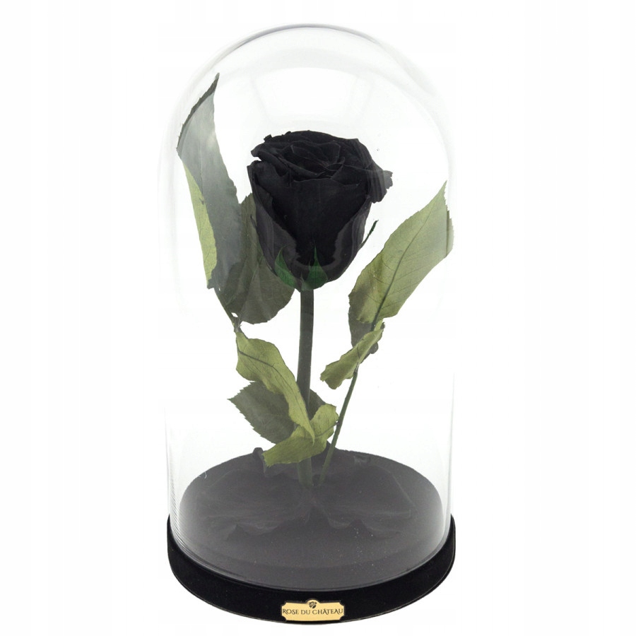 Черная вечная Роза в шкатулке Rose du Chateau