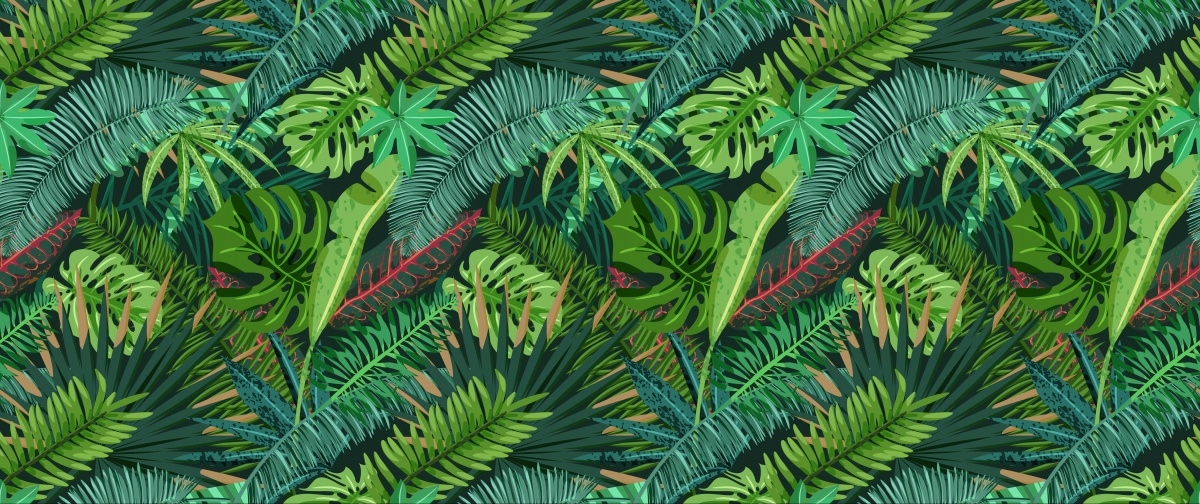 

Fototapeta Flizelinowa Liście palmy 250x104