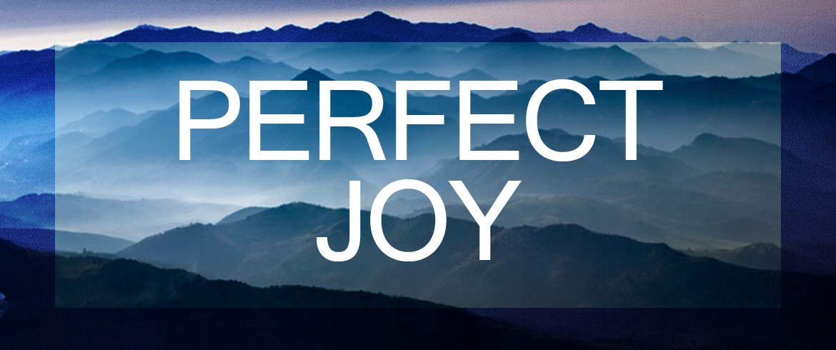 Perfect Joy MEN EDP 100ml Perfumy JFenzi *Fenzi Kod producenta 5902539680386